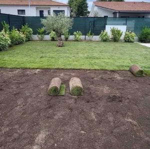 amenajare si intretinere spatiu verde