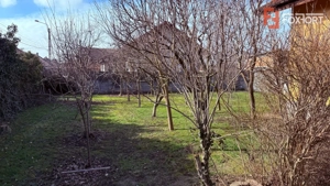 COMISION 0% Ghiroda Casa individuala cu 7 camere si 1752 mp teren  - imagine 18