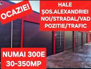 Preturi FOARTE MICI Hale-300euro Spatii-ETC - imagine 2