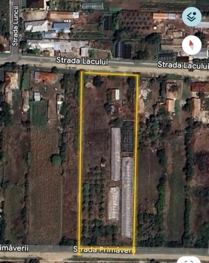 Teren intravilan Cezieni Olt