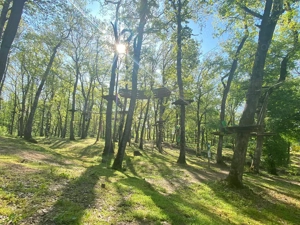 Domeniul Herneacova - imagine 14