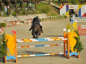 Domeniul Herneacova - imagine 20