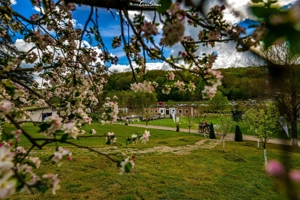 Domeniul Herneacova - imagine 2