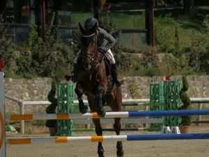 Domeniul Herneacova - imagine 19