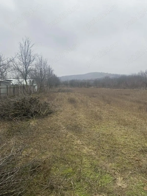 Vând casa bătrâneasca cu suprafața 4463 m2 - imagine 3