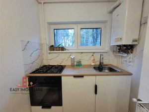 Apartament 2 camere , Cornisa , UMF , Decomandat - imagine 8