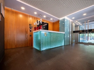 Birouri De Închiriat Sector 1, Zona Herăstrău