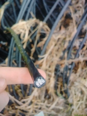 Cablu industrial torsadat