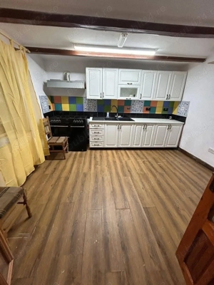 De vanzare casa+teren cu o suprafata de 1.279mp, 32.000 euro - imagine 3