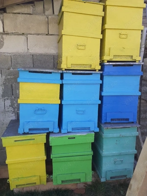 lazi albine - imagine 3