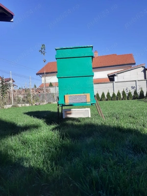 lazi albine - imagine 5