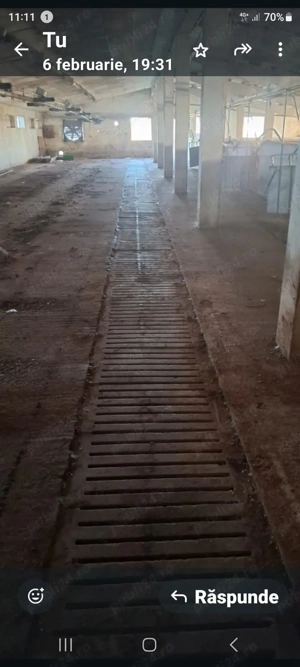 Vand gratare de beton ferma proci