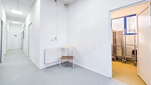 Spațiu industrial–afacere catering la cheie, teren&hală 750 mp S+P+1E - imagine 11