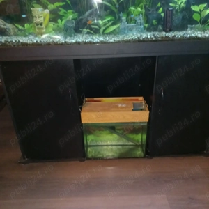 Acvariu Juwel - imagine 4