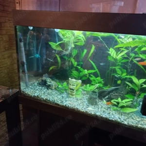 Acvariu Juwel - imagine 5