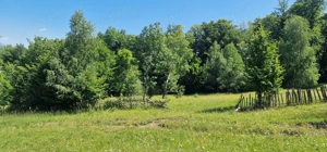 Teren Breaza-Talea sau loturi 1000mp - imagine 4