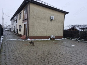 Casa cu etaj 4 cam 126 mp - imagine 4