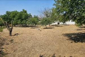 Teren investitie Lumina - 3000 mp, Deschidere 46 m, Toate utilitatile - imagine 4