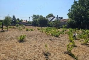 Teren investitie Lumina - 3000 mp, Deschidere 46 m, Toate utilitatile - imagine 5