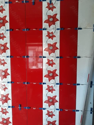  amenajări interioare si exterioare