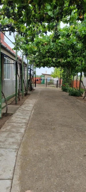 Casă de vânzare  - imagine 3