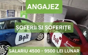 Angajez Soferii Si SoferitE