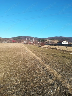 Teren de vânzare intravilan   - imagine 2