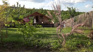 vand cabana in cugir - imagine 5