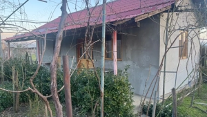 Casa bătrânească Rogova! - imagine 4