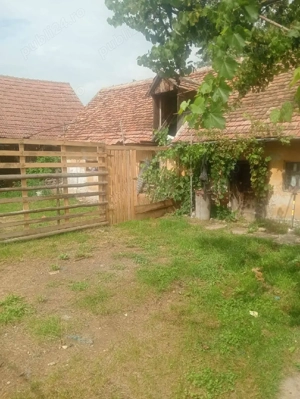 vand casa in com Altana sat benesti str nouă Nr 100  - imagine 5