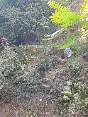 Pers. Fizică Vând Apartament zona Central, 4 camere  în Vila cu gradina interioara  și spațiu în CF  - imagine 10