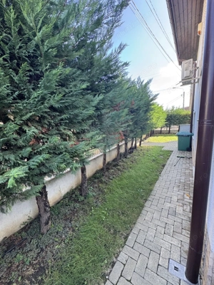 RESEDINTA//CLINICA //BIROURI// ANA IPATESCU// PLOIESTI - imagine 15