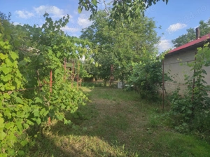 Vanzare casa - Licuriciu Calinesti Teleorman - teren 800mp - imagine 10