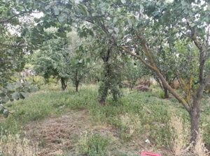 Vanzare casa - magazin - Licuriciu, Calinesti - Teleorman - teren 1400mp - imagine 5