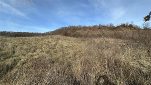 Teren Intravilan Dealu Jelnei - 15.2 ari - imagine 6