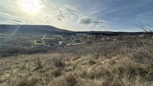 Teren Intravilan Dealu Jelnei - 15.2 ari - imagine 7