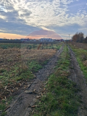 Teren intravilan 3400mp de vânzare la Sântion - imagine 5