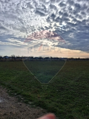 Teren 5,700mp Santion / None - imagine 2