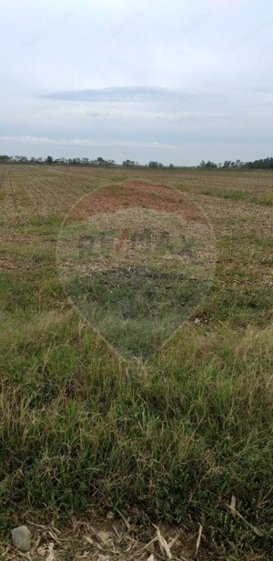 Teren extravilan 3000mp de vânzare la Sântion - imagine 2