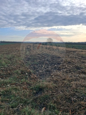 Teren intravilan 3400mp de vânzare la Sântion - imagine 4