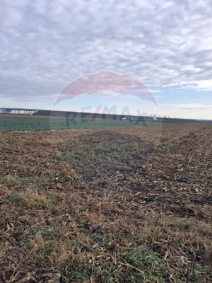 Teren intravilan 3400mp de vânzare la Sântion - imagine 2