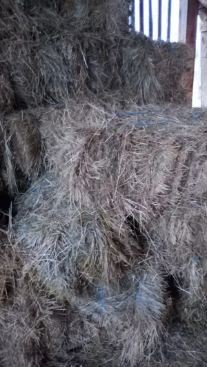 Baloți otavă și fân dreptungiulari  - imagine 2