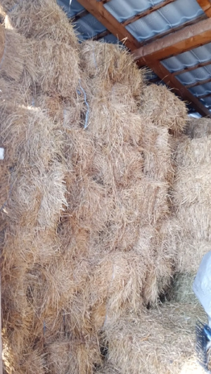 Baloți otavă și fân dreptungiulari  - imagine 3