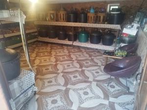 Vând proprietate cu două case plus anexe! - imagine 5