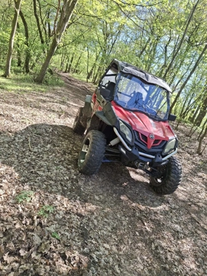 mircea cu frățcă - imagine 5