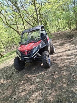 mircea cu frățcă - imagine 4