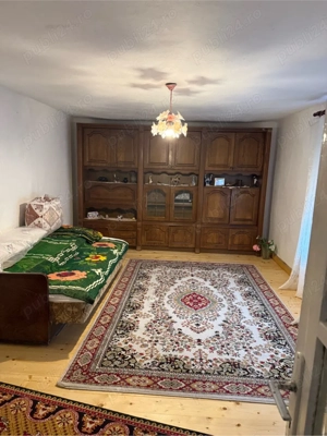 Vand casa in Berzasca - imagine 4