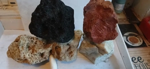 acvaristică - imagine 2