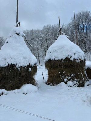 Vând otavă din 2025