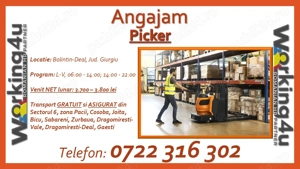 Picker Depozit Produse Electrice